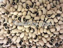 2016 New Crop Black Eye Vigna white Beans
