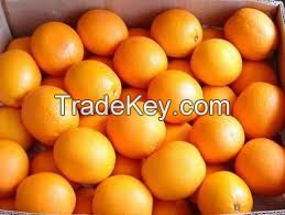 Fresh Navel oranges/Fresh Lemons/Fresh Mandarins/Fresh valencia oranges/Fresh Lime