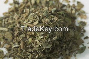 Fresh and Dry Oregano