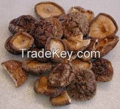 shiitake mushroom