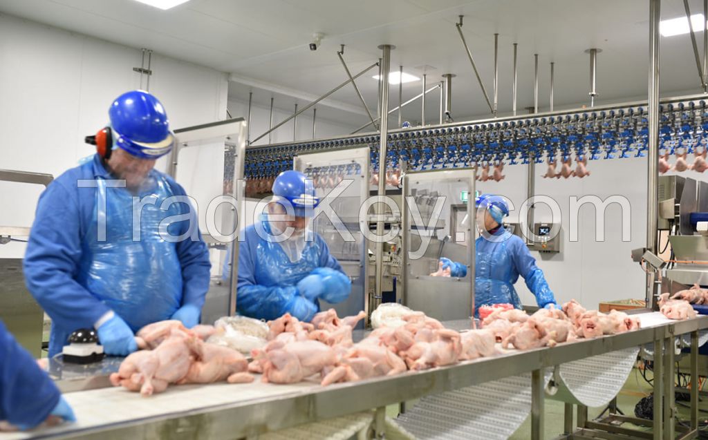 Frozen Chicken Manufacturers Frozen Chicken Suppliers