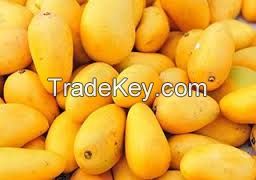 Fresh Green Sindhary Mangoes , Sweet Mangoes , Mango Price