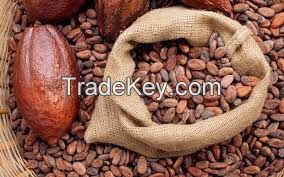dried fermented cocoa beans