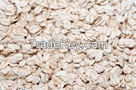 High Quality Bulk Oats