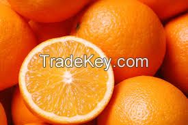 fresh Valencia orange