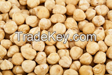 Blanched Hazelnuts with favorable price