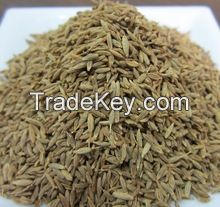 High Quality Cumin Seeds