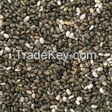 100% Top Quality Hemp Seeds