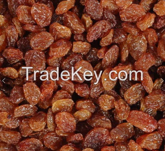 High Quality Dried Raisins