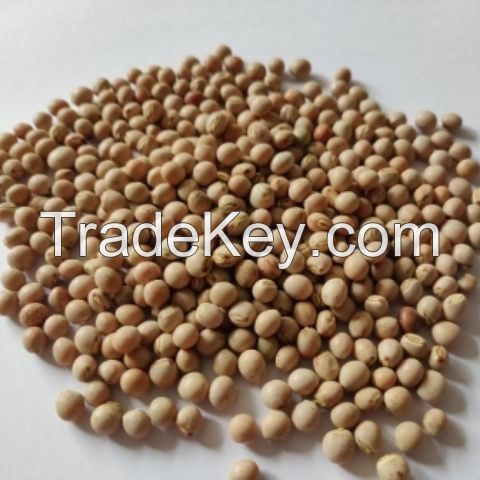 Best Quality Dried Whole Pigeon Peas