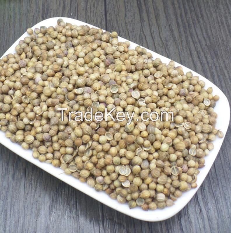Wholesale Coriander Seeds coriander seed FOR SALE