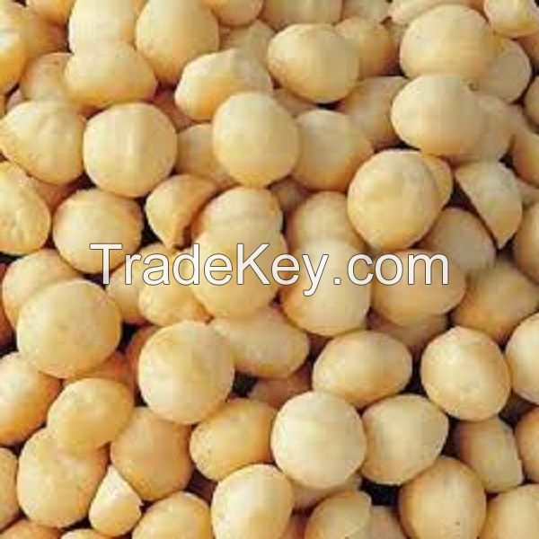 Good Quality Cheap Blanched Raw Macadamia Nuts