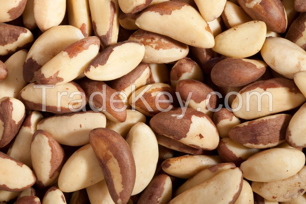 Brazil Nuts/Cashew Nuts /Pistachio Nut/Pine Nuts /Walnut/Almonds/Mecademia Nuts/Cashew Nuts/Cloves