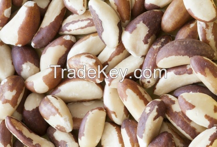 Brazil Nuts