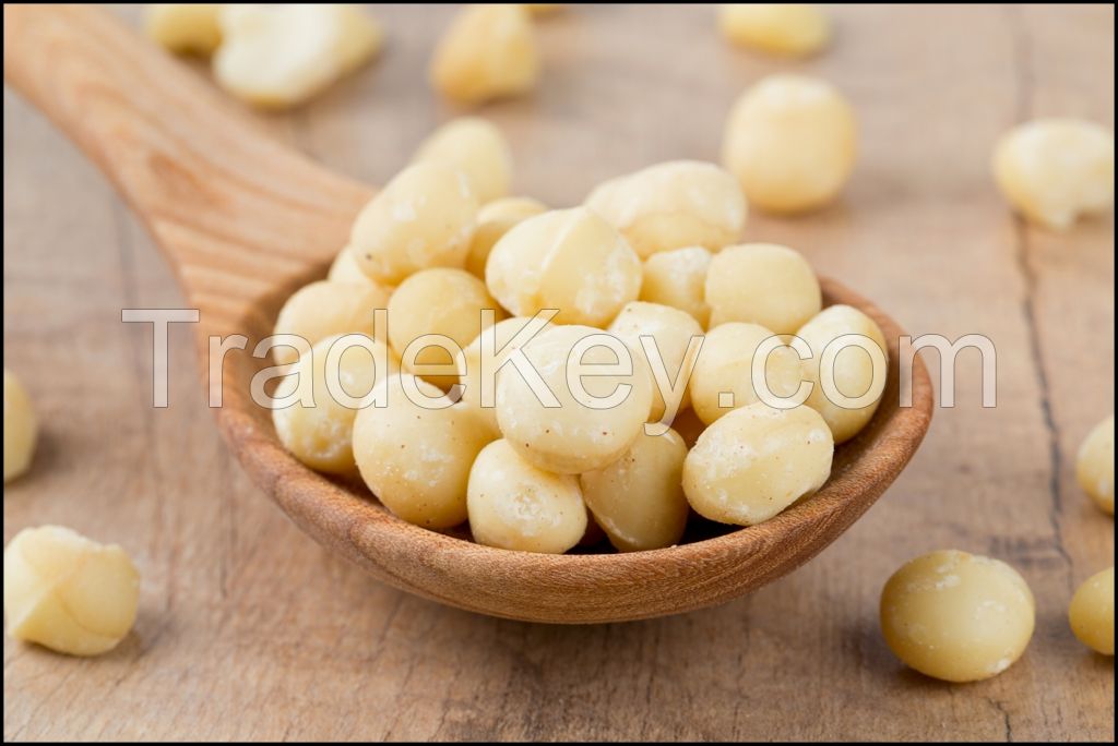 Quatlity Macadamia Nuts