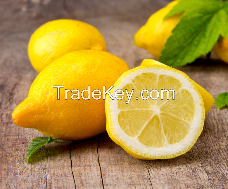 Fresh Quality Lemon for sale
