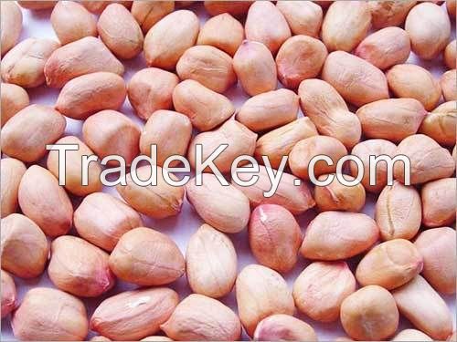 Peanuts/Groundnut Grade A  - Peanut kernels