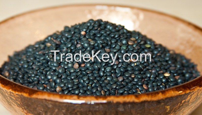 Black beluga lentils