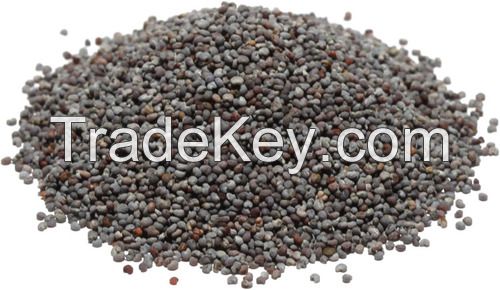 Top Quality Poppy Seeds