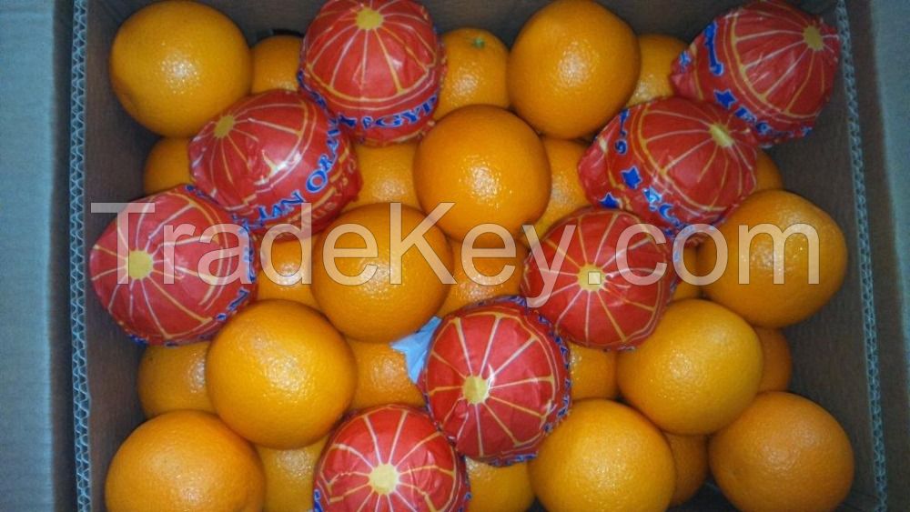 FRESH VALENCIA, NAVAL ORANGES, MANDARIN