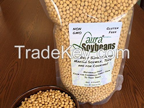 NON GMO dried cheap soybeans