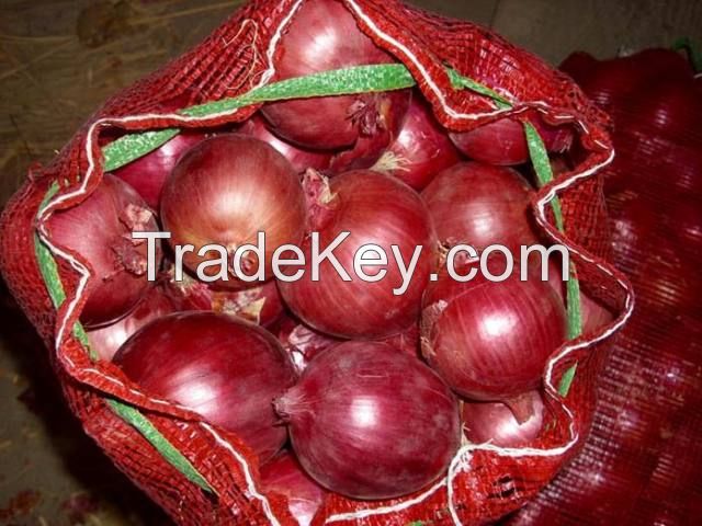 FRESH RED AND YELLOW ONION