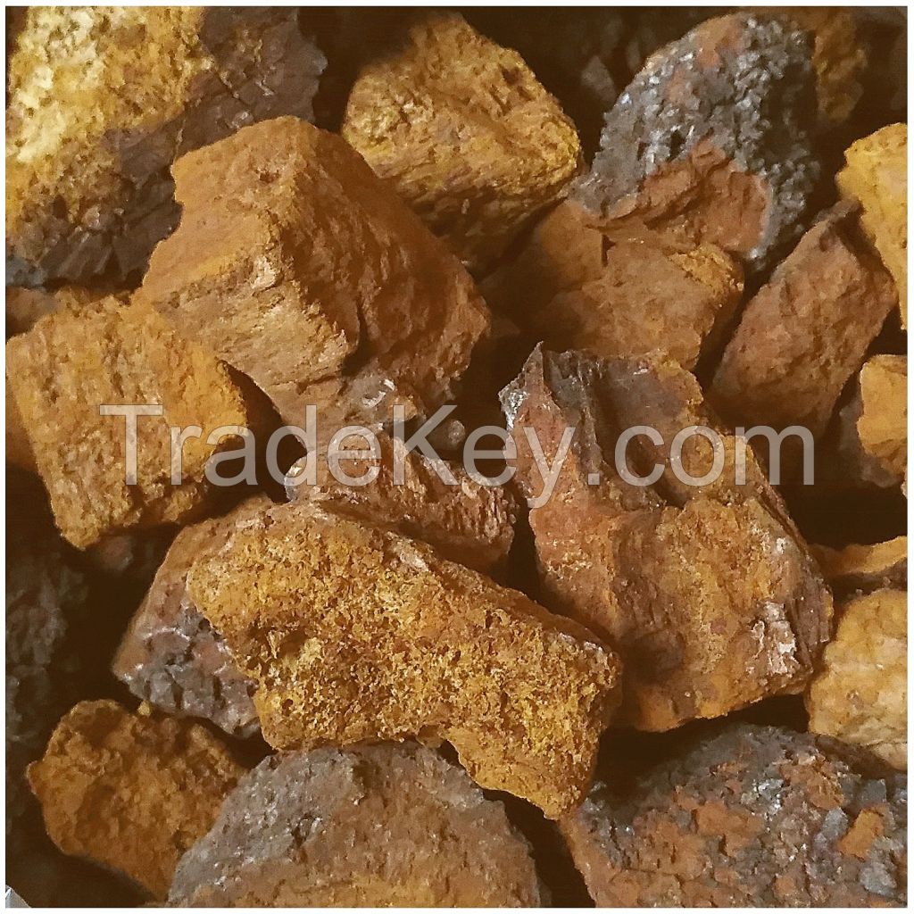 Sell Chaga