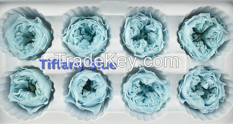 2017 hot sale eternal rose preserved flower for Valentine Day gifts flowers