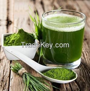 Sell Hot Sale Barley Grass Green Powder With Good Quality and Low Price