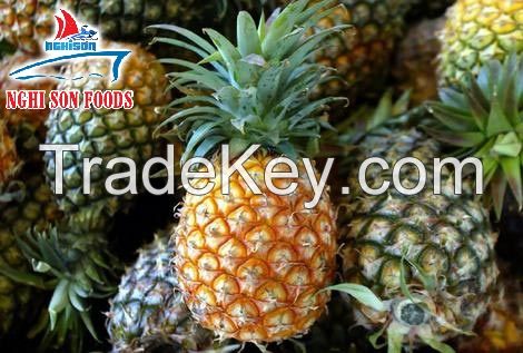 Vietnam Fresh Pineapple