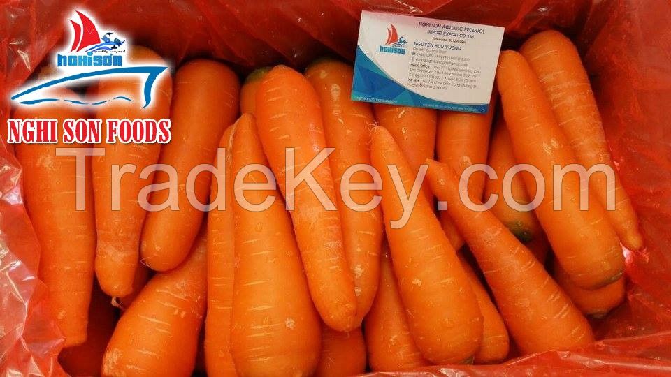 Vietnam Fresh Carrot