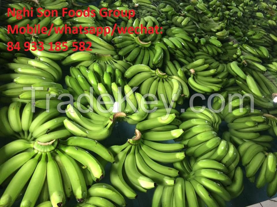Fresh Cavendish Bananas for sale