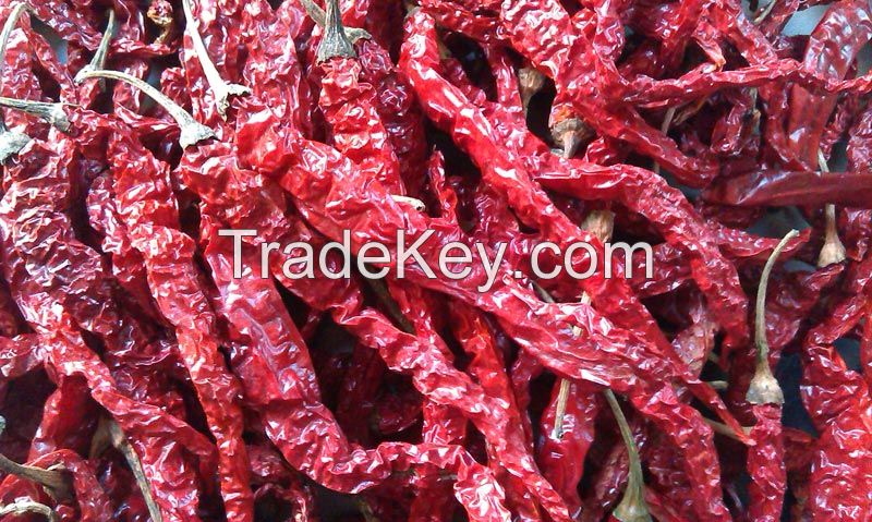 Bright Red Hot Spicy Dried Chili Chilli Pepper