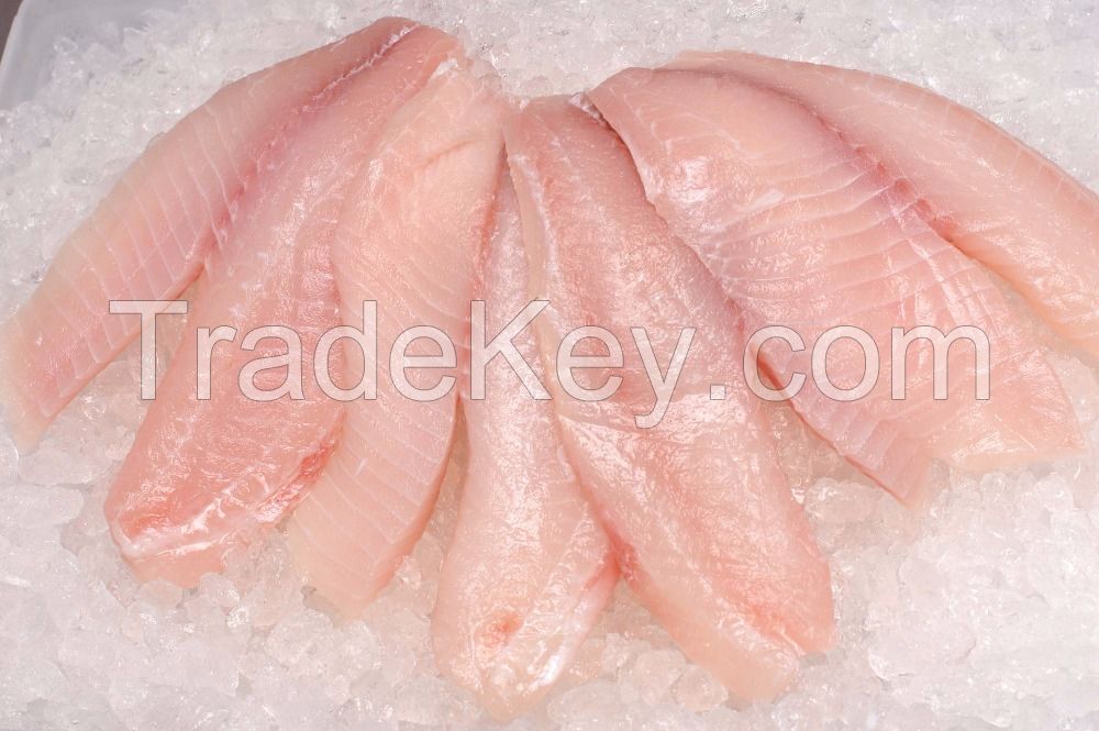 Kosher Frozen Fish Tilapia Fillet Low Price