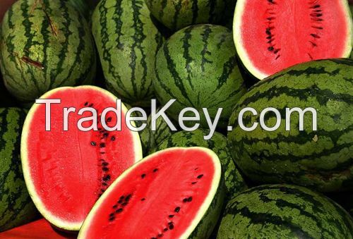 Fresh Watermelon For Sale