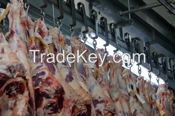 Halal Buffalo Boneless Meat/ Frozen Beef Frozen Beef for sale