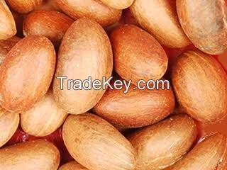 Garcinia kola nuts (bitter kola nuts) FOR SALE