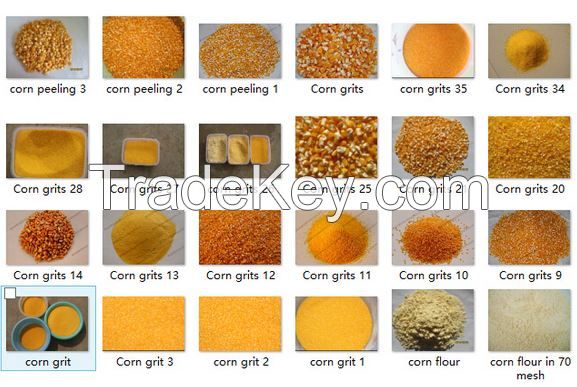 Corn / Wheat Gluten Meal
