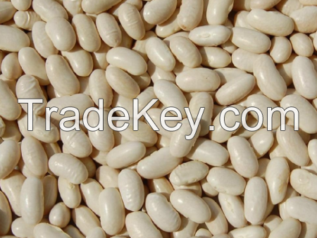 white Kidney Beans