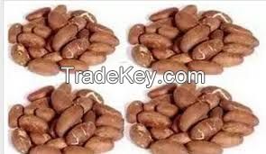 Affordable bitter kola nuts, kola nuts, cashew nuts supplies