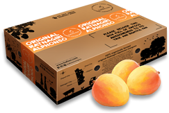 Buy Mangoes Online - Ratnagiri Alphonso Mangoes