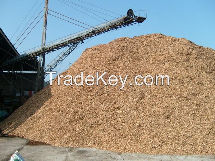 Rubber Wood Chip