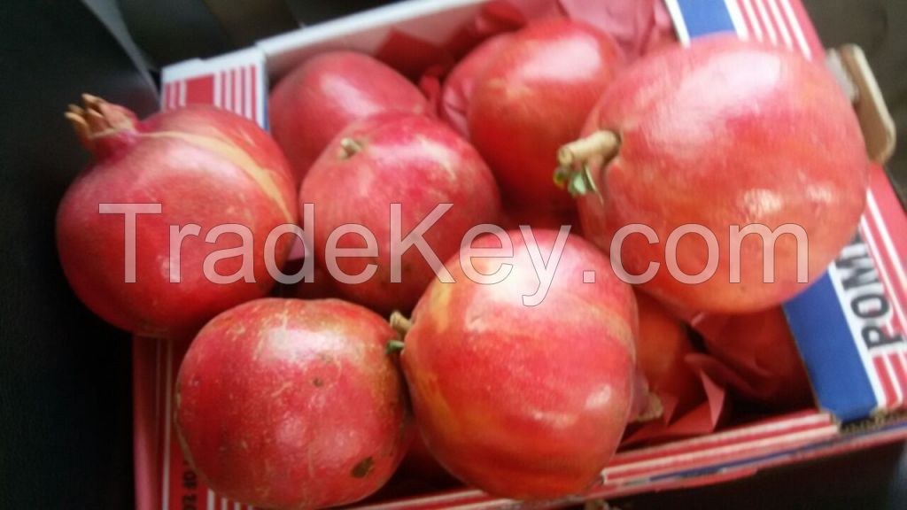 fresh pomegranate