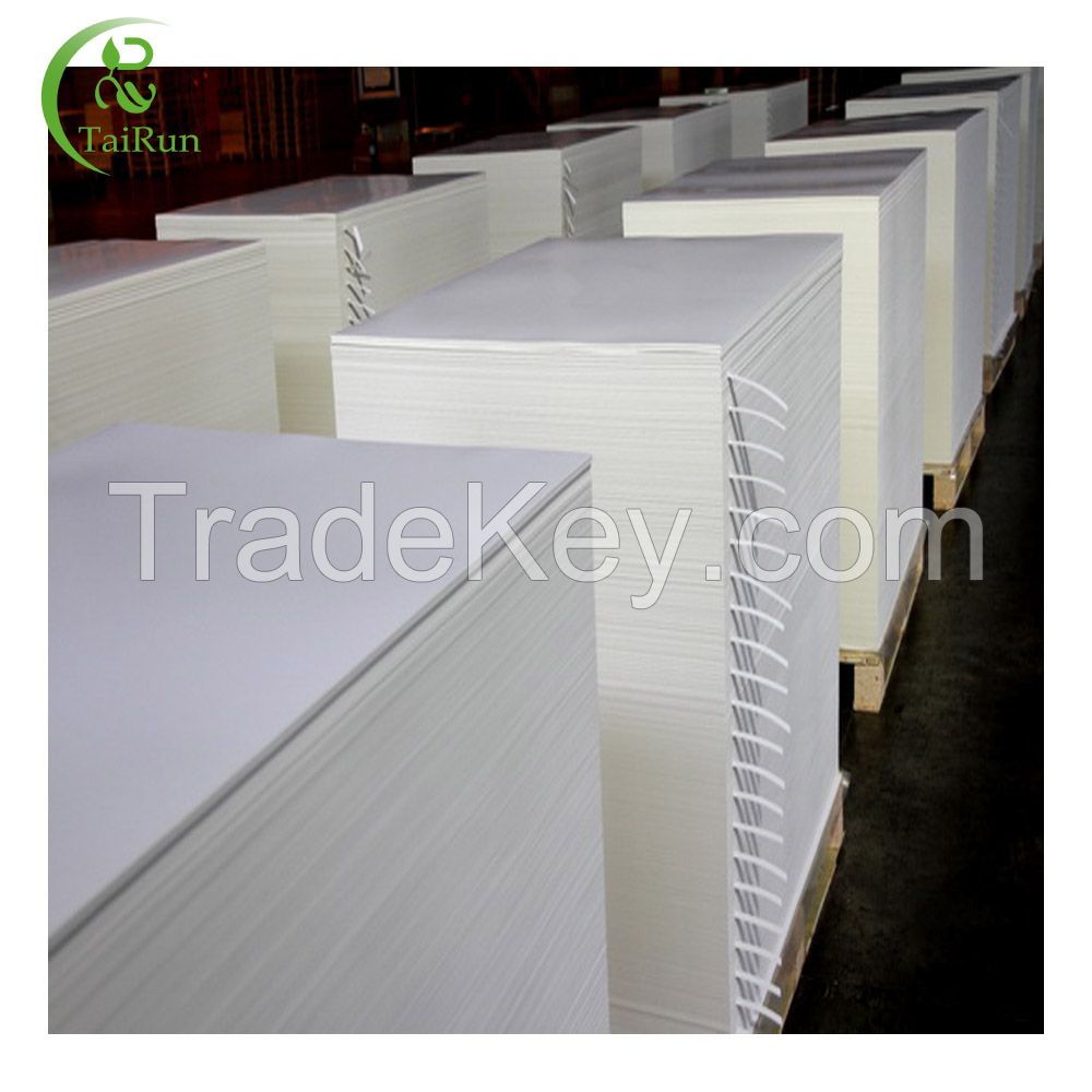 300g Folding Box Board for Food Packaging