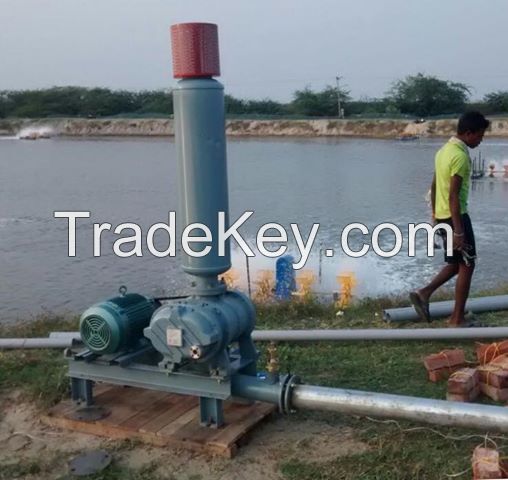 Fish Aquaculture Blower