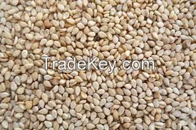 White and Brown Sesame seed sortex, sesame seed