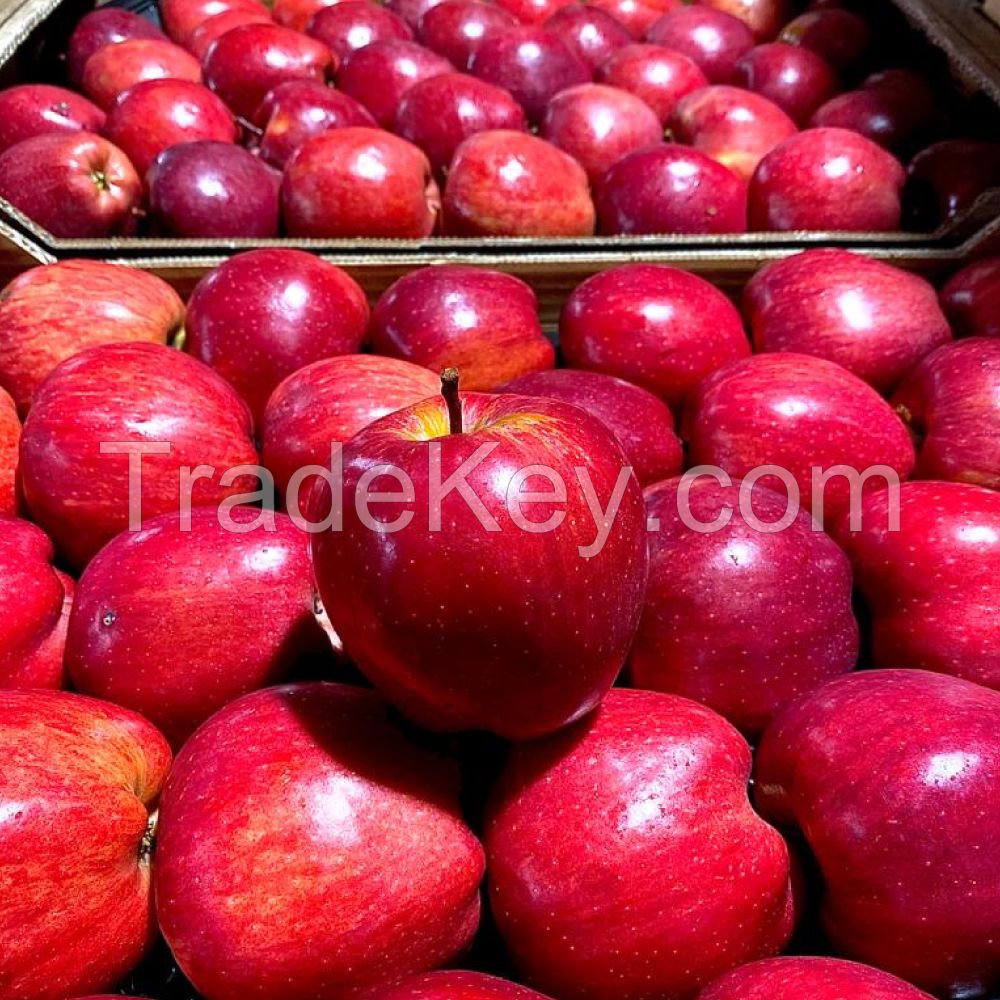 Premium Quality Fresh Delicious Red & Green Apple