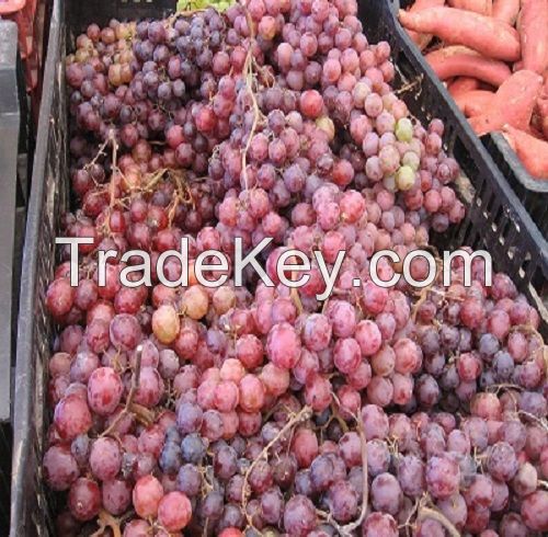 Organic Fresh Grapes Seedless, Crimson Fresh Grapes, Seedless Grapes For Sale