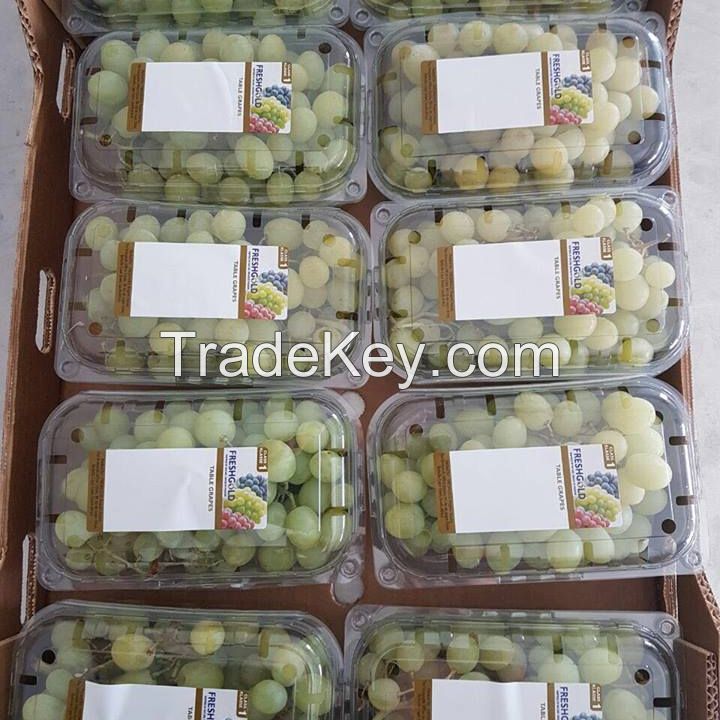 Fresh Grapes, Fresh Fruits, South Africa Fresh fruit exporter