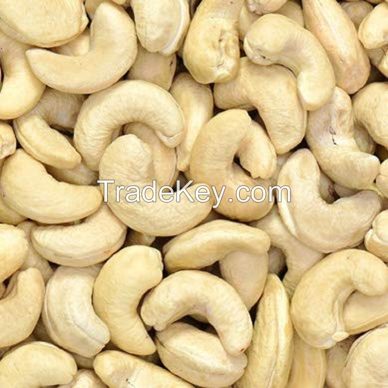 Processed Cashew Nut Kernels W240 W320 W450